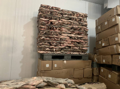 На астраханском предприятии нашли 22 тонны замороженной рыбы без маркировки