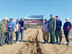 Специалисты лесхоза высадили в Астраханской области тысячи сеянцев джузгуна
