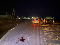 В Астрахани насмерть сбили пешехода