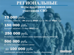 Астраханская облдума напомнила об актуальных мерах поддержки участников СВО