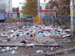 «Блокнот Астрахань» составил список самых захламленных точек Астрахани. Часть пятая