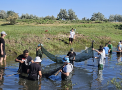 Астраханские «Голубые патрули» спасли 103 миллиона штук рыбной молоди
