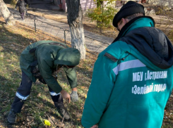 В Астрахани вандалы сломали порядка 300 уличных разбрызгивателей