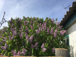 Прогноз погоды, именины, праздники в Астрахани в воскресенье 23 апреля