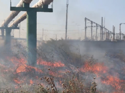 За сутки астраханские пожарные 21 раз выезжали тушить камыш и сухостой