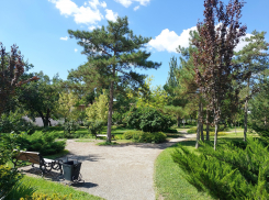 Жара возвращается: в Астрахани повысится температура