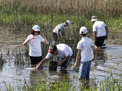 В Астраханской области начали свою работу отряды «Голубого патруля»