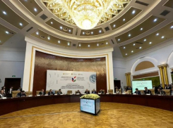 Спикер астраханской облдумы Игорь Мартынов участвует в конференции по межрегиональному российско-таджикскому сотрудничеству