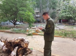 В Астрахани директора управляющей компании приговорили к сроку за смерть девочки