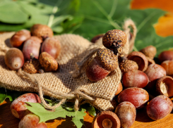 В Астрахань идет потепление