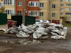 В Астрахани за полгода свыше 300 человек оштрафовали за нарушение благоустройства