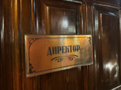 Мертвые и активные сезоны: астраханцам подсказали, когда лучше искать работу