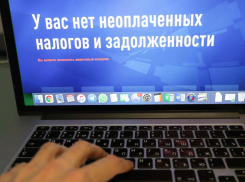 55% астраханцев поддержали отмену НДФЛ многодетным семьям