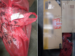 Полицейские нашли в голубятнике у астраханца 206 граммов сухой конопли