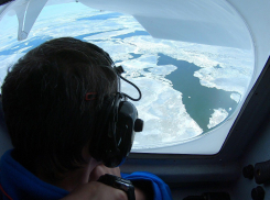 В Астраханскую область прибыли ученые, чтобы посчитать каспийских тюленей с cамолета