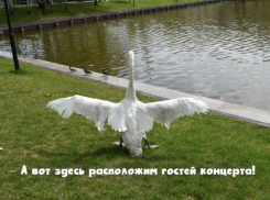 19 августа на Лебедином озере в Астрахани устроят «Музыку на воде»