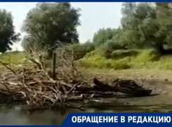 В Астраханской области засыхает ерик, много лет кормящий 200 семей 