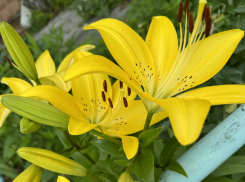 Погода, праздники, именины в понедельник 10 июня