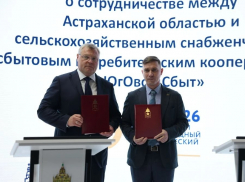 В Астраханской области создадут современный агроагрегатор