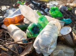 В 2022 году с улиц одного из районов Астрахани вывезли более 2000 тонн мусора