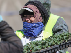 Астраханские аграрии ставят рекорды благодаря труду мигрантов