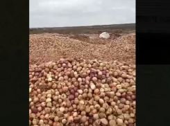 У астраханского села на жителей свалилась куча бесплатного лука
