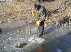 Рыбачившим в заказнике «Икрянинский» астраханцам грозит 5 лет тюрьмы