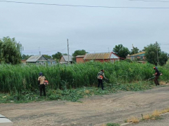 В Астрахани занимаются ликвидацией потенциального источника возгораний