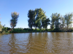 В Астраханскую область по особой просьбе стали пускать больше воды
