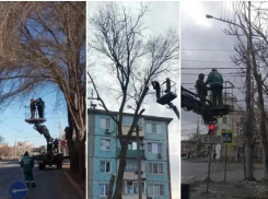 На улицах Астрахани опилили более трехсот опасных деревьев с начала 2026 года