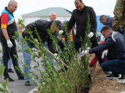 Астраханцы посадили 160 тысяч деревьев и кустарников в рамках акции «Сад памяти»