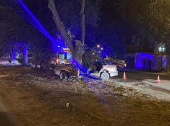 В Астрахани из-за фантомного животного мужчина убил друга