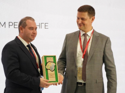 Астраханская область стала лидером инвестрейтинга возобновляемой энергетики