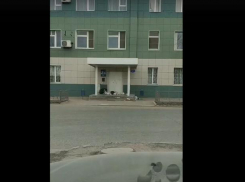 Недовольные астраханцы выкинули мусор перед офисом регионального оператора по вывозу ТКО