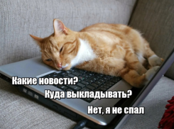 Только 19% опрошенных астраханцев считают себя ленивыми