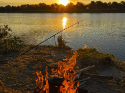 В Астраханской области огромнейшая рыба со множеством зубов долго сражалась с рыбаком: кто победил