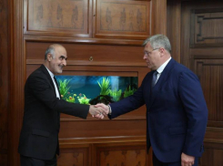 Губернатор Игорь Бабушкин встретился с новым генконсулом Ирана в Астрахани