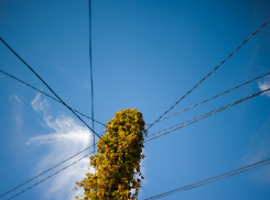 В Астраханской области «зеленую» энергетику могут запустить уже к концу года