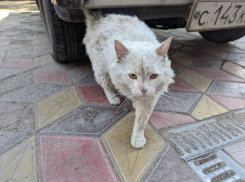 Погода, праздники, именины в воскресенье 26 мая