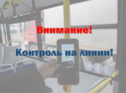 В Астрахани безбилетников в «Волгабасах» будут вычислять контролеры