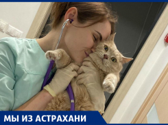 Как астраханка открыла собственную ветклинику в столице