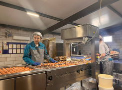 В Астраханской области будут выращивать кур, которые несут яйца с особенной скорлупой