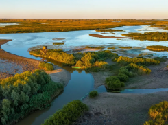 В Астраханской области займутся берегоукреплением и переселением из затопляемых зон