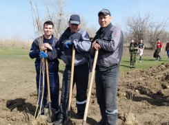 3 тысячи деревьев посадили железнодорожники в преддверии Дня Победы
