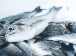 Астраханские предприниматели не смогли раскрыть происхождения 29 тонн рыбы