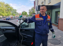 Астраханский водяной уж месяц прожил в автомобиле липчанина