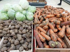 Цены на главные продукты в Астраханской области продолжают меняться