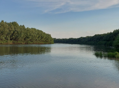 В Астраханской области в жизни редких птиц с необычной головой произошли изменения