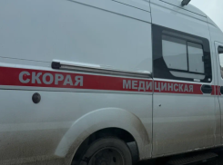 У двух жителей Астраханской области выявили лихорадку Западного Нила