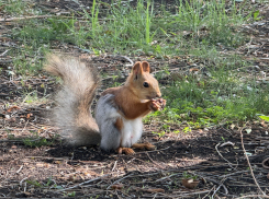 Прогноз погоды, именины, праздники в четверг 6 июня 